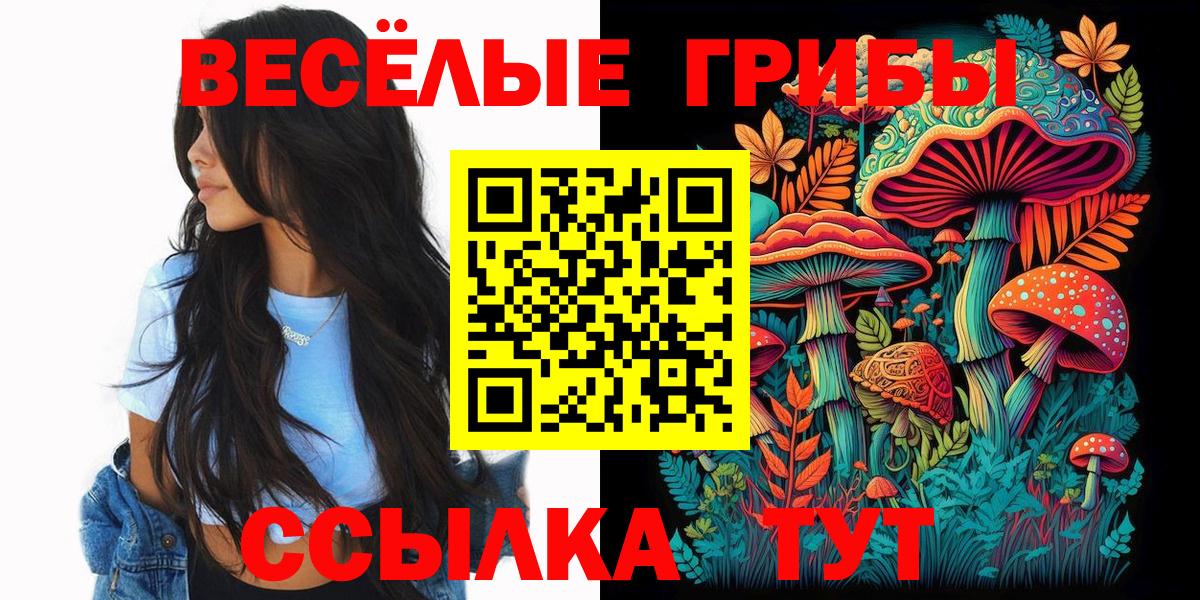 Псилоцибиновые грибы мицелий  продажа наркотиков  Вход с VPN  Нововоронеж  Псилоцибиновые грибы мухоморы 