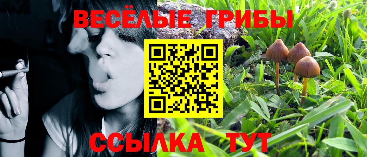 Галлюциногенные грибы мицелий Нововоронеж